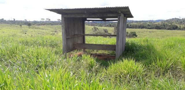 Fazenda com muita pastagens - Foto 3