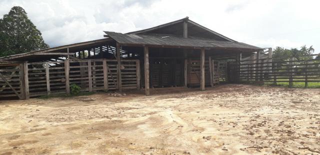 Fazenda bem estruturada - Foto 6