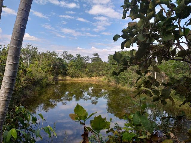 Sitio Próximo da Cidade - Foto 4