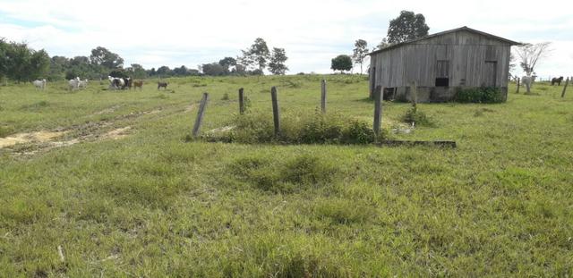 Fazenda com muita pastagens - Foto 4