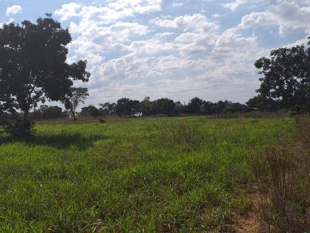 Sitio Próximo da Cidade - Foto 5