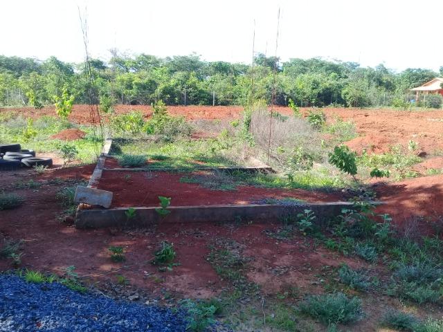 Chácara - Foto 2