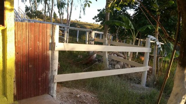 Arrendo 73 há pra Recria em Lagamar! - Foto 4