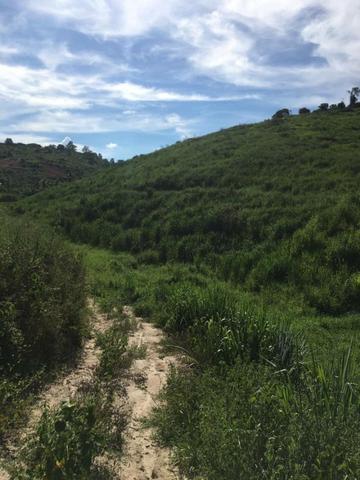 Propriedade Rural - Foto 7