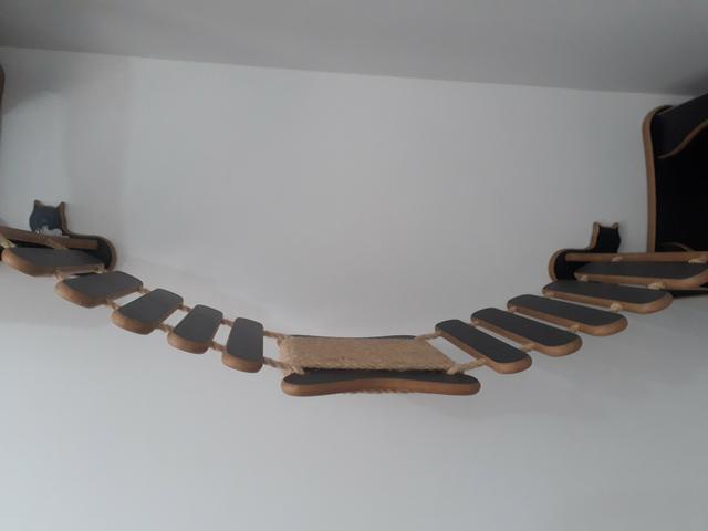 Nicho para gatos - Foto 3