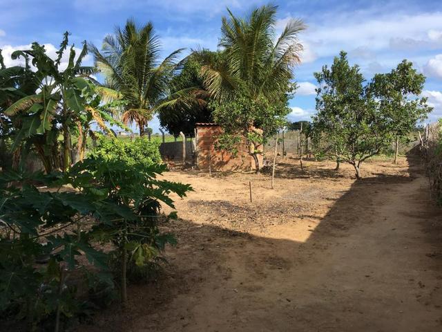 Linda casa no povoado Brejo em Lagarto/SE - Foto 9