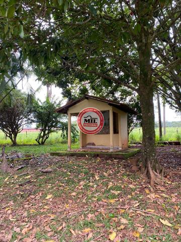 Fazenda de 15 alqueires a 37 km de Goiânia - Foto 15