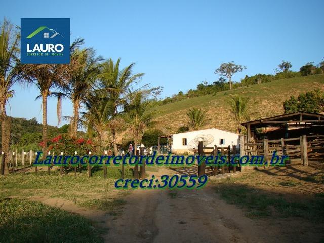 Fazenda com 29 Hectares à 28 km de Teófilo Otoni-MG. - Foto 2