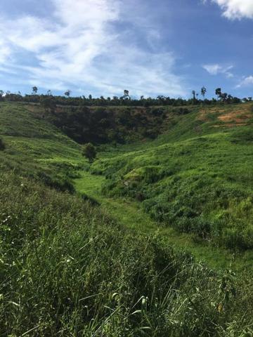 Propriedade Rural - Foto 10