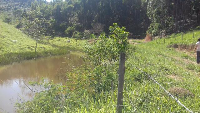 Fazenda em Minas Gerais - Foto 6