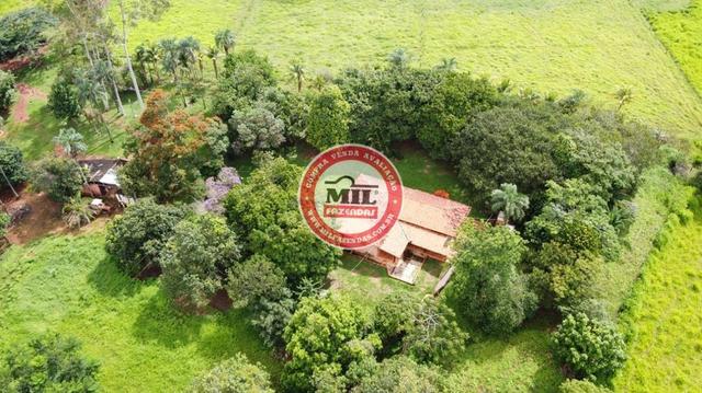 Fazenda de 15 alqueires a 37 km de Goiânia - Foto 4