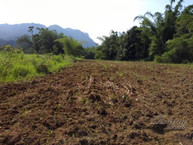 Área à venda, 22967 m² por r$ 210.000 - américa de baixo - morretes/pr - Foto 8