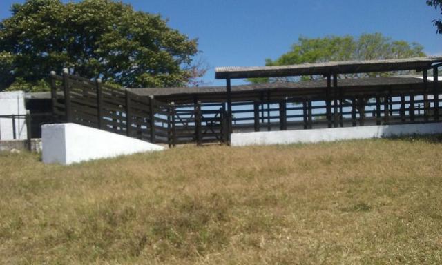 150 Tarefas (50 Hectares) em Garanhuns. Casa-sede Mobiliada - Foto 10