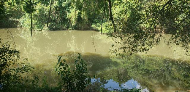 Vendo Terreno 4000m2 R$60.000,00 - Foto 4