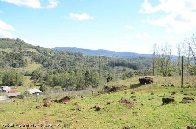 Sítio à venda, 45000 m² por r$ 897.000,00 - linha bonita - gramado/rs - Foto 19
