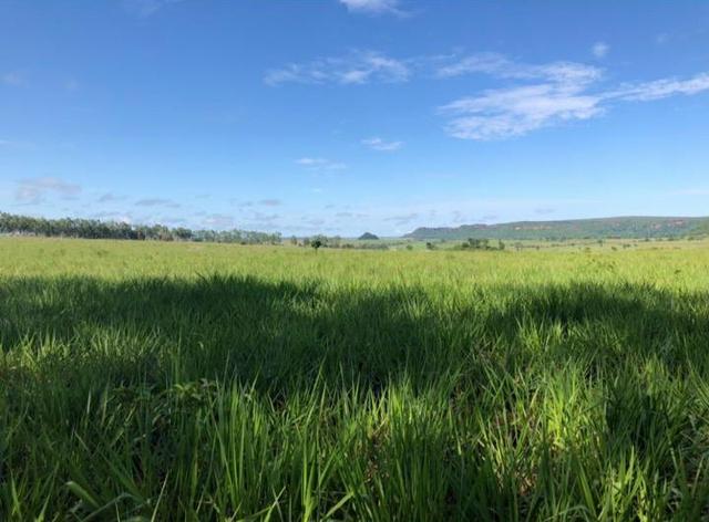 Fazenda em Nova Marilândia 206 alquers