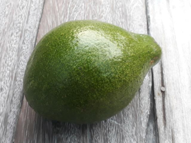 Vendo abacates por kilo faço a entrega