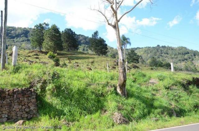 Sítio à venda, 45000 m² por r$ 897.000,00 - linha bonita - gramado/rs - Foto 9