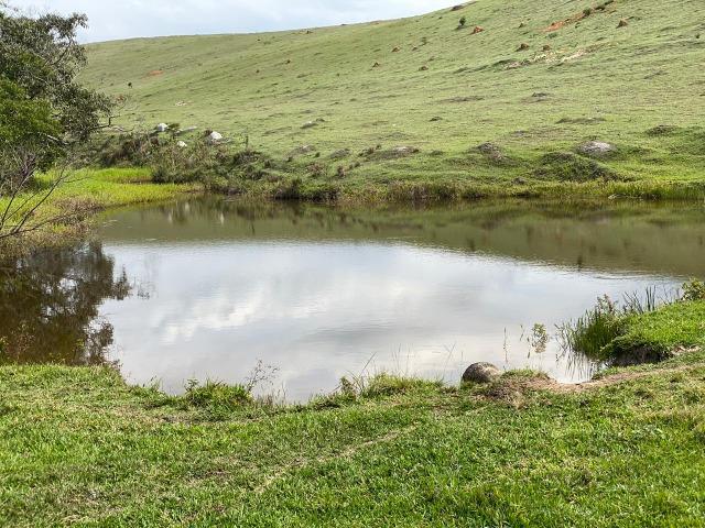 Lotes de terrenos com 5 mil metros - ideal para sua chacara,preço indiscutivel!!! - Foto 5