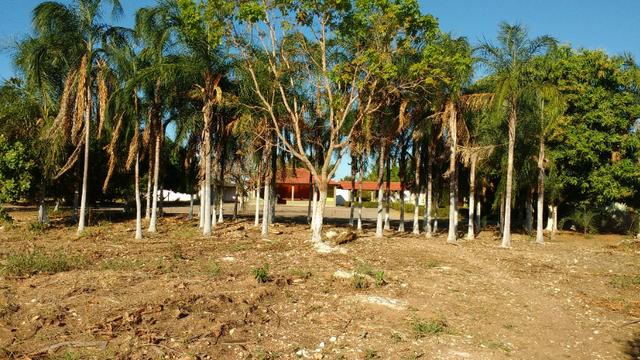 Galpão em area de 22.000,00 m² toda murada com guarita Proximo Br dos Imigrantes - Foto 10