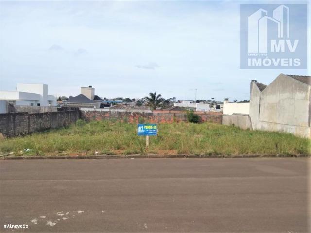 Terreno no Virmond 21,00 x 26,00 total de 546,00m² - Foto 3