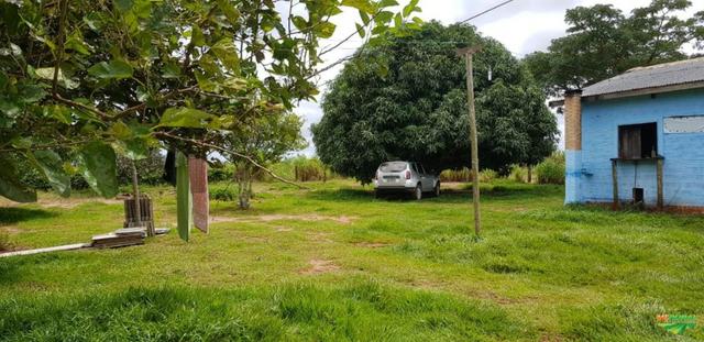 Linda Fazenda em Mato Grosso - em Conquista D´oeste - MT