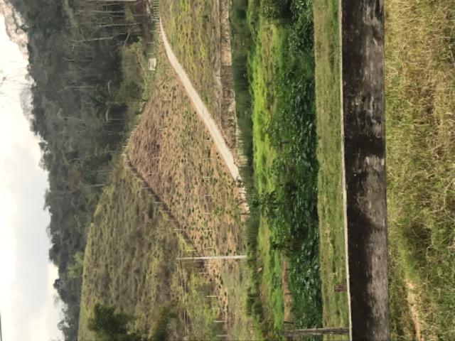 Chácara sítio terreno em São José do Ribeirão ( bom jardim) - Foto 11