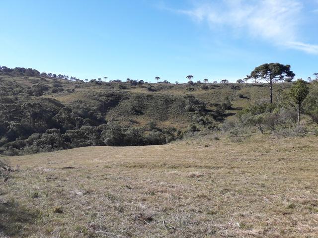 Terreno em Urupema - Foto 16
