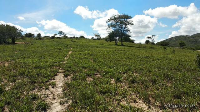 Vendo 64 h na PE 87 a 4 km do centro de Gravatá PE - Foto 8