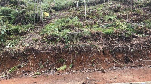 Terreno à venda, 370 m² por R$ 95.000 - Albuquerque - Teresópolis/RJ - Foto 3