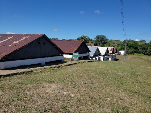 Ilhéus. Fazenda com 368 Hectares cultivo de cacau e gado - Foto 5