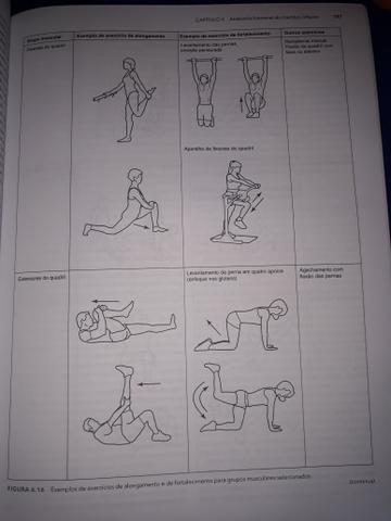 Bases Biomecânicas do Movimento Humano - Foto 4