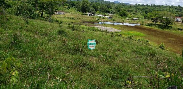 Camacan. Fazenda de Cacau com 430 Hectares. Rica em água - Foto 11