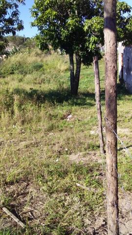 L-Terreno no Bairro Monte Alegre em Cabo Frio - Foto 4