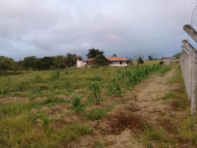 Excelente sítio, com casa sede e casa de caseiro na região de Santo Estevão Bahia - Foto 13