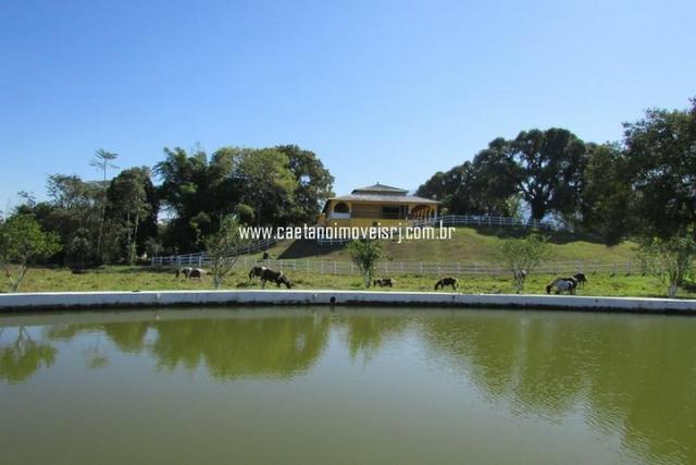 Caetano Imóveis - Haras de luxo com vista linda para o dedo de Deus! (oportunidade única!) - Foto 4