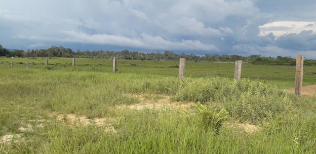 Fazenda bem estruturada - Foto 12