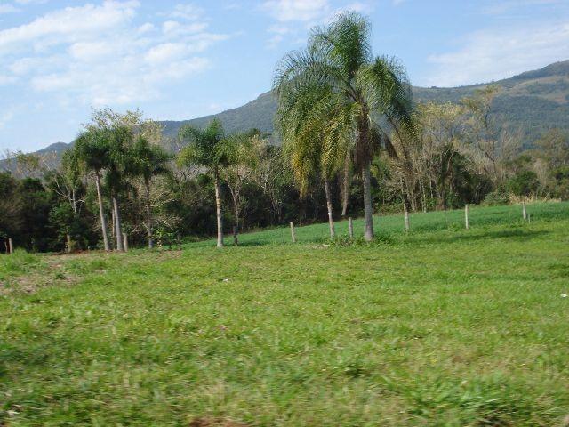Sitio em Maquine - Foto 15