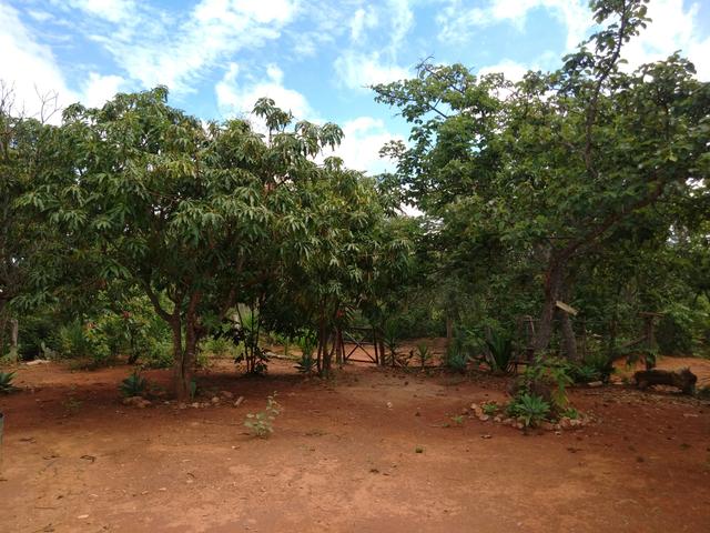 Vendo Chácara na Comunidade Rural de Extrema em Bocaiuva-Mg - Foto 5