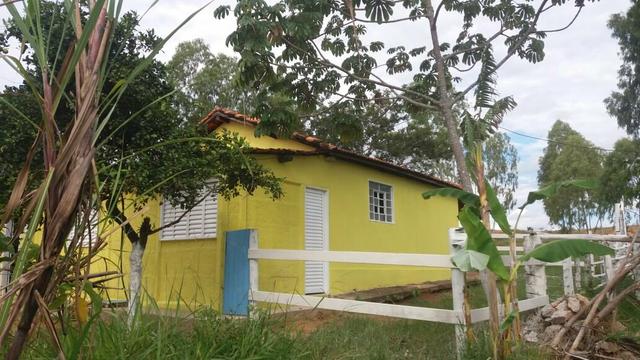 Arrendo 73 há pra Recria em Lagamar! - Foto 14