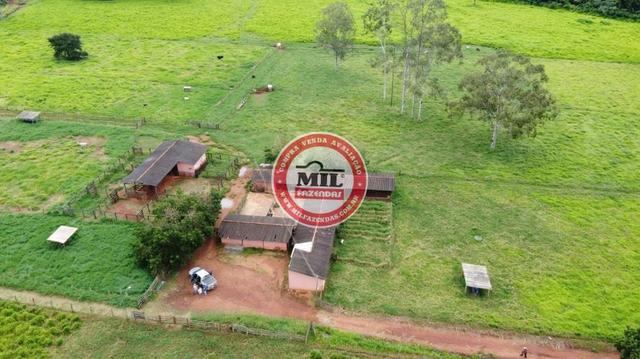 Fazenda de 15 alqueires a 37 km de Goiânia - Foto 3