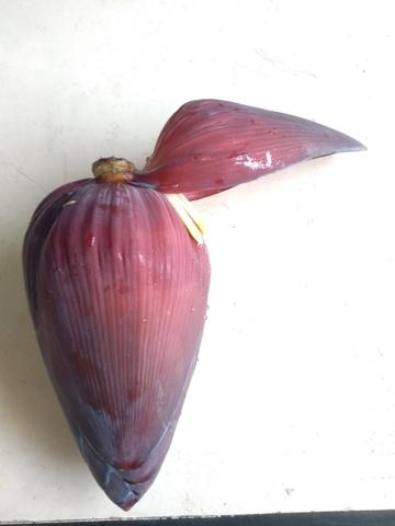 Coração De Bananeira/umbigo Da Banana - Foto 3