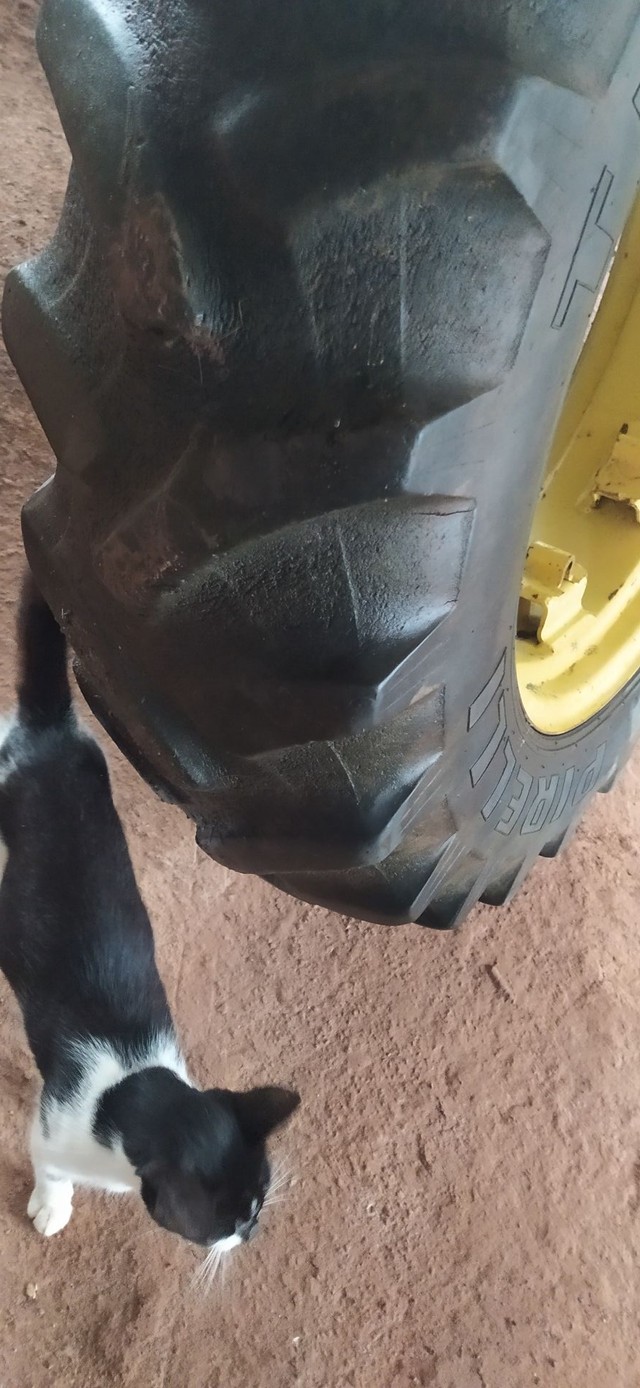 Pneu Pirelli 12.4-28 com roda - Foto 2