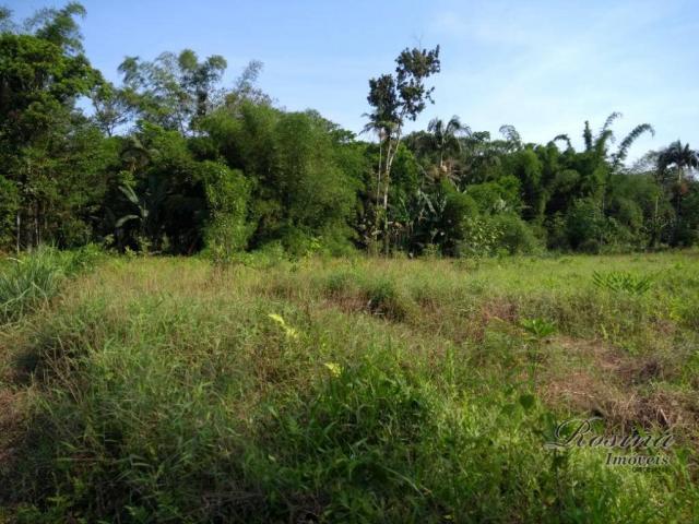 Área à venda, 22967 m² por r$ 210.000 - américa de baixo - morretes/pr - Foto 11