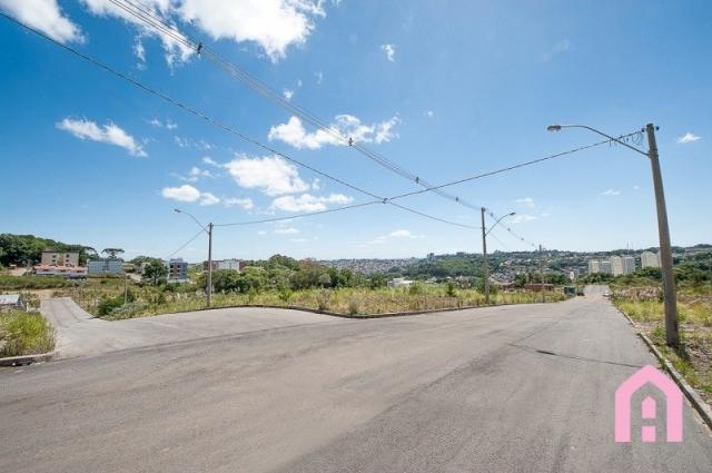 Terreno à venda em São luiz, Caxias do sul cod:1296 - Foto 3