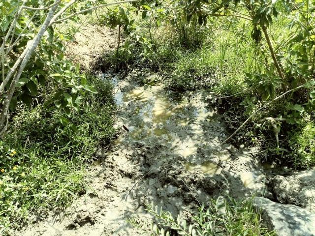 Sitio com nascente dentro e Rio - Foto 6