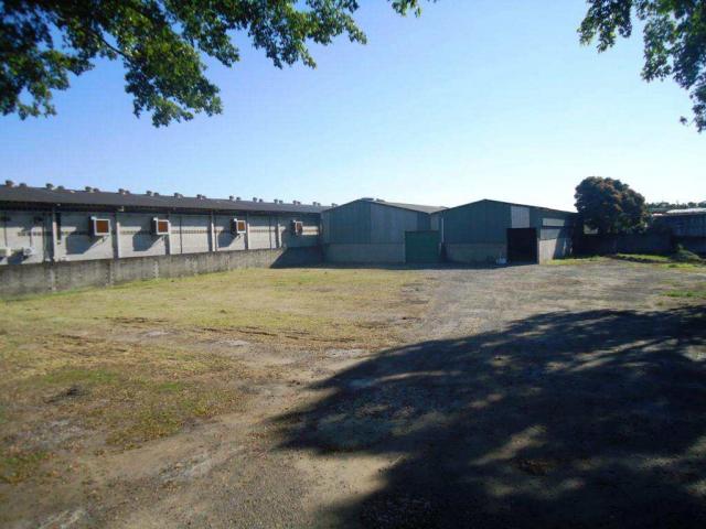 Galpão/depósito/armazém à venda com 0 dormitórios em Jardim limoeiro, Serra cod:60082273