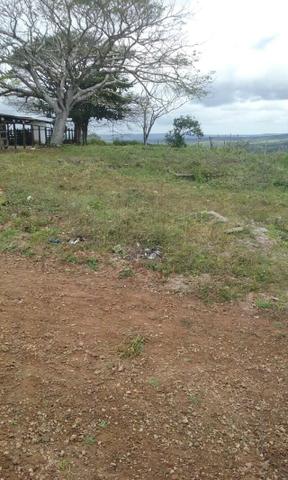 150 Tarefas (50 Hectares) em Garanhuns. Casa-sede Mobiliada - Foto 15
