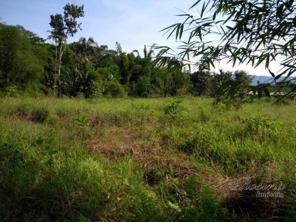 Área à venda, 22967 m² por r$ 210.000 - américa de baixo - morretes/pr - Foto 14