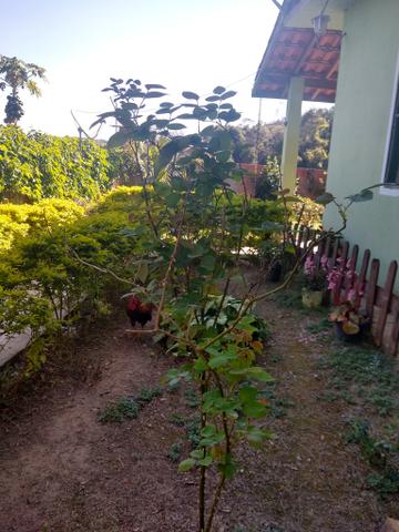 Vendo - Foto 11